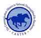 CANTER thoroughbred